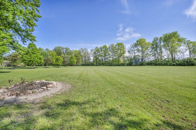 3720 Hyatts Rd, Powell, OH 43065 - view of grassy yard