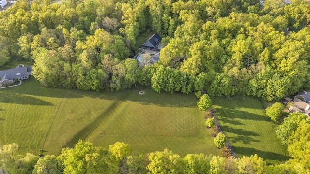 3720 Hyatts Rd, Powell, OH 43065 - bird's eye view of a forest