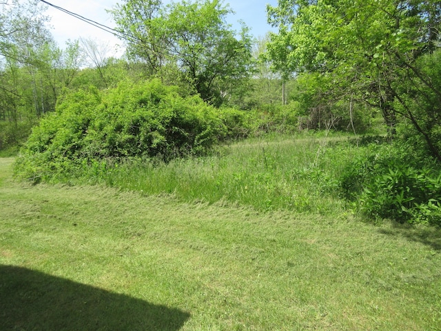 6800 Center Rd, Philo, OH 43771 - view of undeveloped land