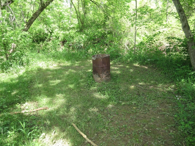 6800 Center Rd, Philo, OH 43771 - view of undeveloped land
