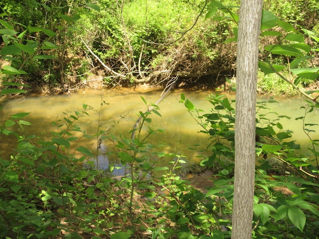 6800 Center Rd, Philo, OH 43771 - view of nature