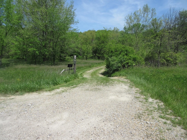 6800 Center Rd, Philo, OH 43771 - view of dirt / gravel road featuring a view of trees