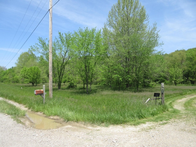 6800 Center Rd, Philo, OH 43771 - view of yard