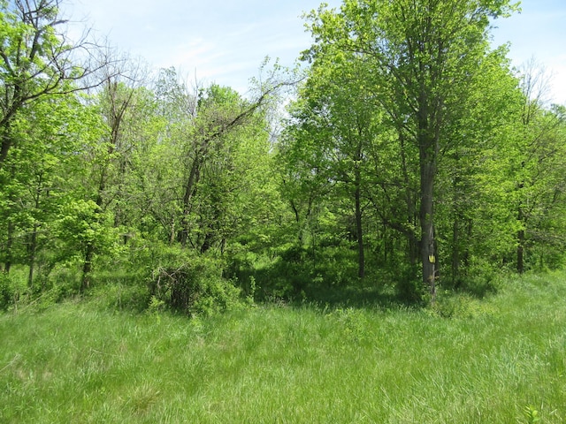 6800 Center Rd, Philo, OH 43771 - view of woods
