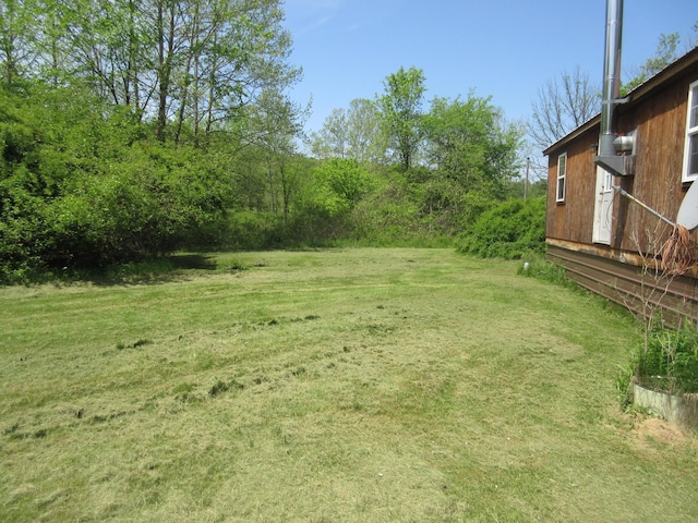 6800 Center Rd, Philo, OH 43771 - view of grassy yard