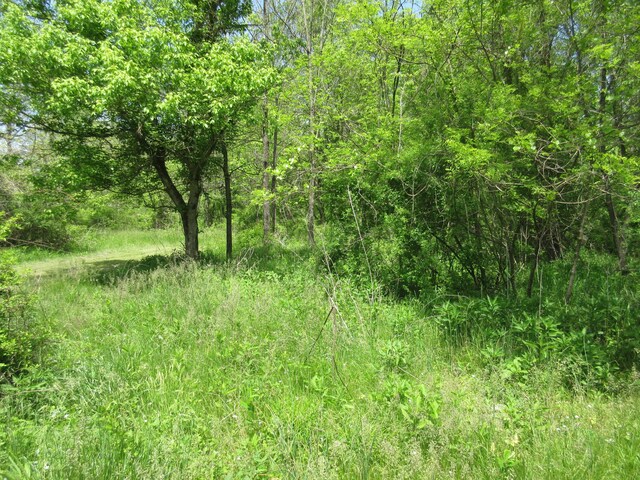 6800 Center Rd, Philo, OH 43771 - view of nature