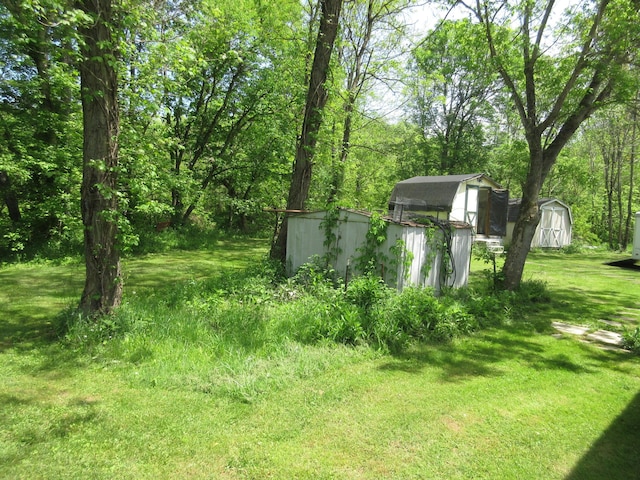 6800 Center Rd, Philo, OH 43771 - view of grassy yard featuring a storage shed and an outdoor structure