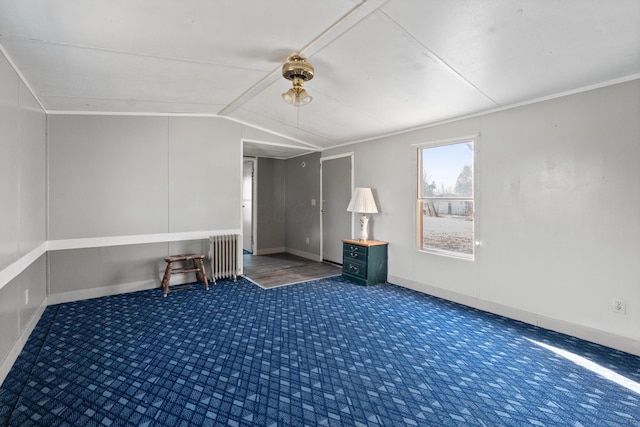 376 Benton Rd, Sycamore, OH 44882 - additional living space featuring radiator heating unit, carpet floors, vaulted ceiling, and baseboards