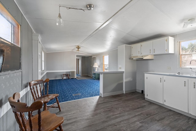 376 Benton Rd, Sycamore, OH 44882 - kitchen with dark wood-type flooring, a sink, lofted ceiling, white cabinetry, and light countertops