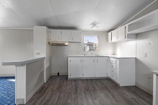 376 Benton Rd, Sycamore, OH 44882 - kitchen featuring a sink, dark wood-style floors, white cabinetry, and light countertops