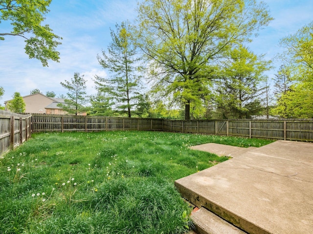 3182 Grey Fox Dr, Columbus, OH 43230 - view of yard featuring a patio