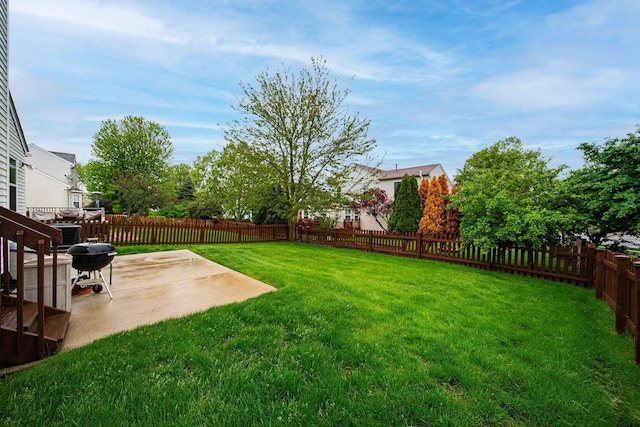 view of yard featuring a patio area