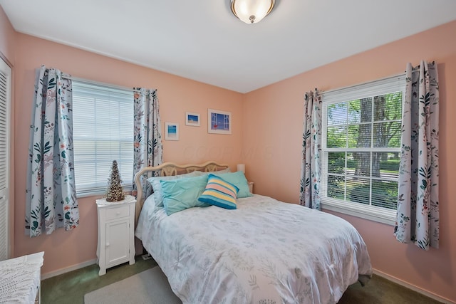 19 Vaughn Rd, Delaware, OH 43015 - bedroom with dark colored carpet and baseboards