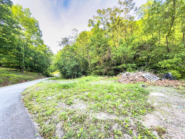 81 Township Road 158, Chesapeake, OH 45619 - photo 2