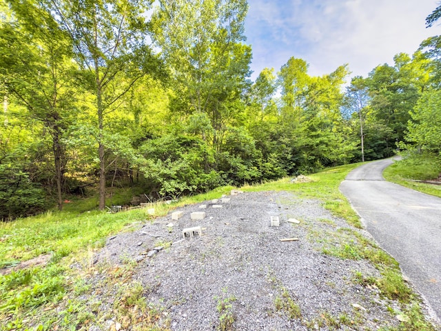 81 Township Road 158, Chesapeake, OH 45619 - photo 3