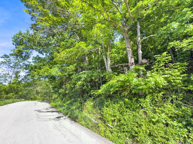 81 Township Road 158, Chesapeake, OH 45619 - photo 4