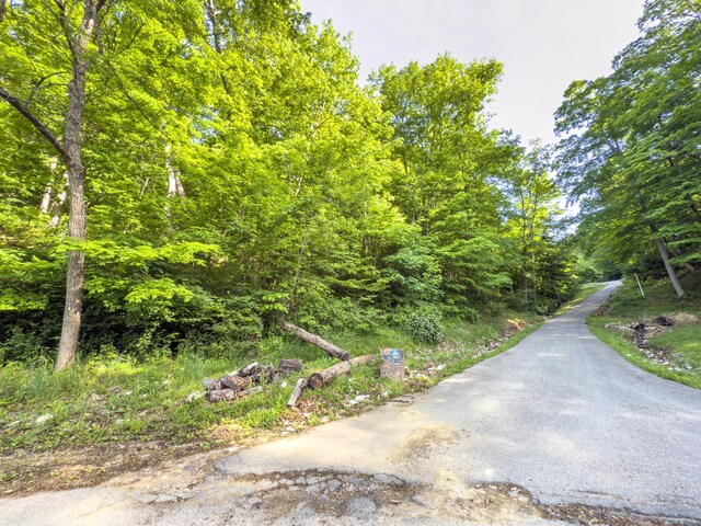 81 Township Road 158, Chesapeake, OH 45619 - photo 6