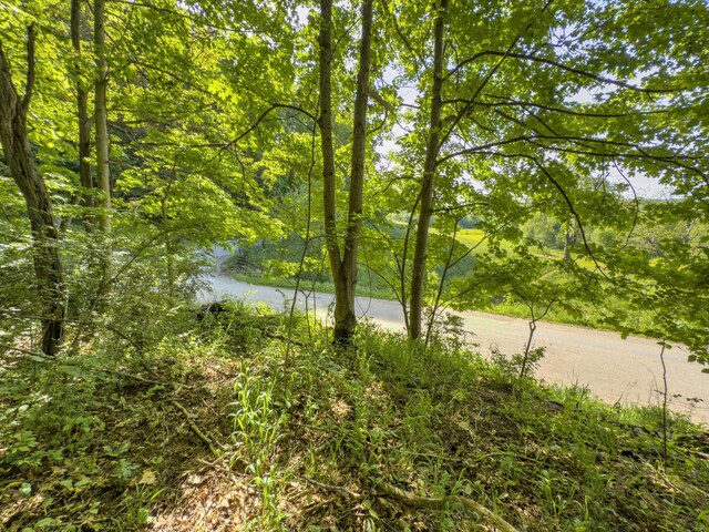 81 Township Road 158, Chesapeake, OH 45619 - photo 7