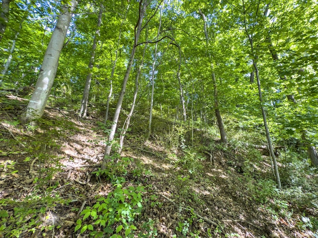 81 Township Road 158, Chesapeake, OH 45619 - photo 8