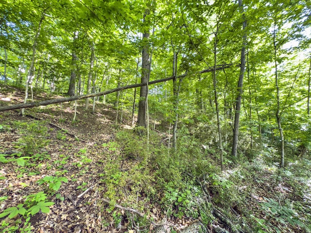 81 Township Road 158, Chesapeake, OH 45619 - photo 9