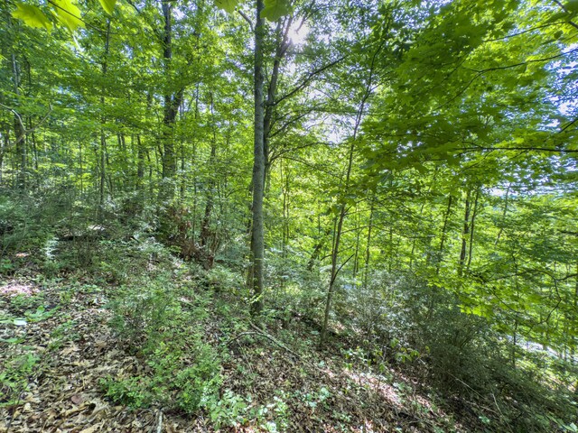 81 Township Road 158, Chesapeake, OH 45619 - photo 10