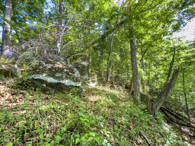 81 Township Road 158, Chesapeake, OH 45619 - photo 11