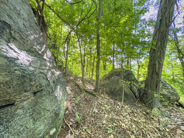 81 Township Road 158, Chesapeake, OH 45619 - photo 1