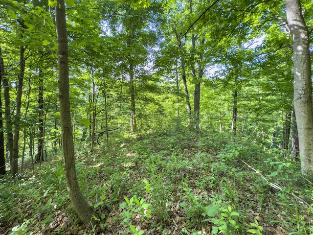 81 Township Road 158, Chesapeake, OH 45619 - photo 14