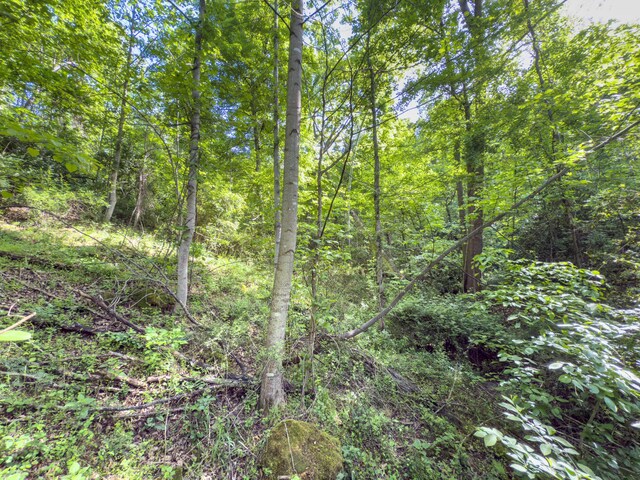 81 Township Road 158, Chesapeake, OH 45619 - photo 15