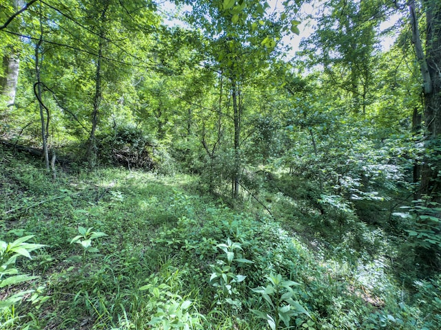 81 Township Road 158, Chesapeake, OH 45619 - photo 16