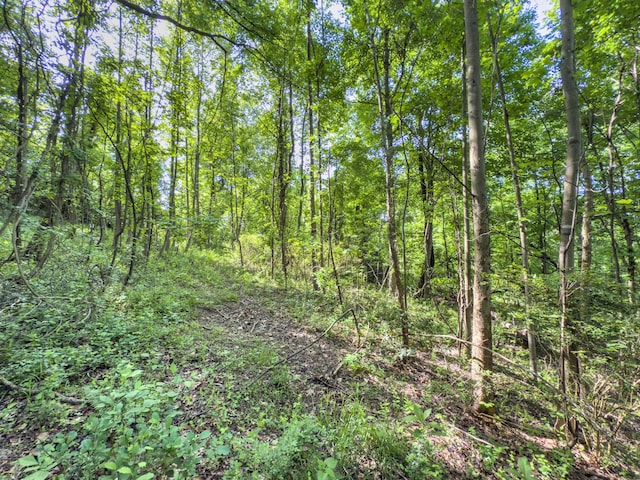 81 Township Road 158, Chesapeake, OH 45619 - photo 17