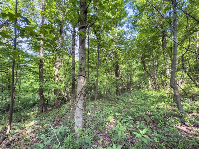 81 Township Road 158, Chesapeake, OH 45619 - photo 18