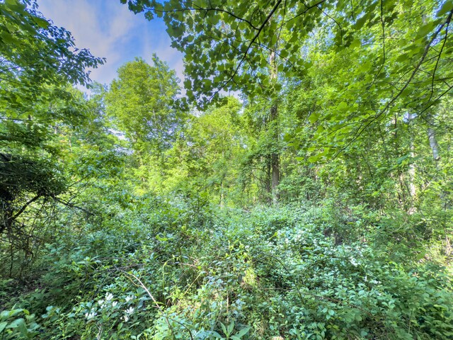 81 Township Road 158, Chesapeake, OH 45619 - photo 19