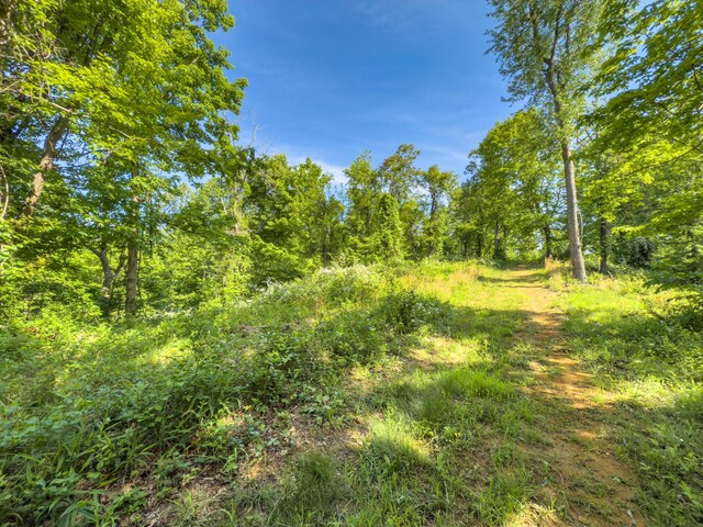 81 Township Road 158, Chesapeake, OH 45619 - photo 20