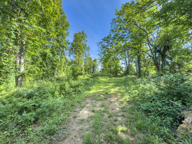 81 Township Road 158, Chesapeake, OH 45619 - photo 21