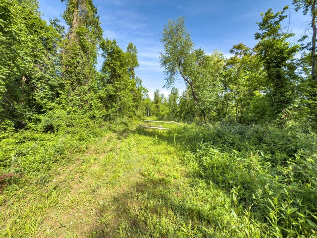 81 Township Road 158, Chesapeake, OH 45619 - photo 23