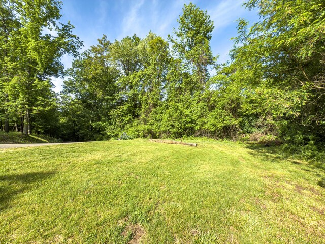 81 Township Road 158, Chesapeake, OH 45619 - photo 24