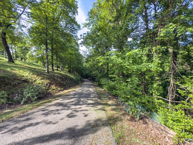 81 Township Road 158, Chesapeake, OH 45619 - photo 26