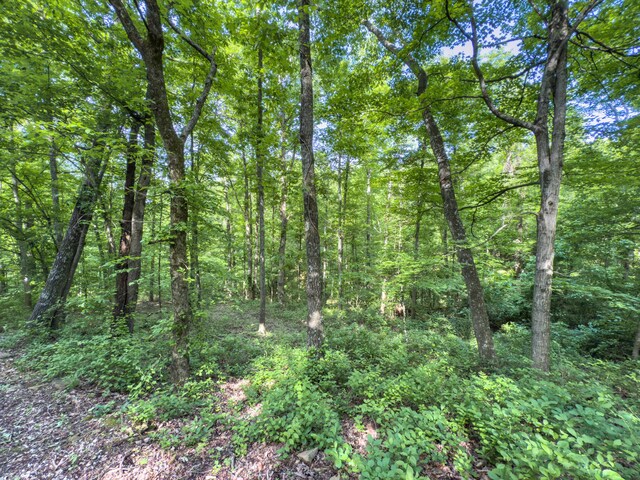 81 Township Road 158, Chesapeake, OH 45619 - photo 27