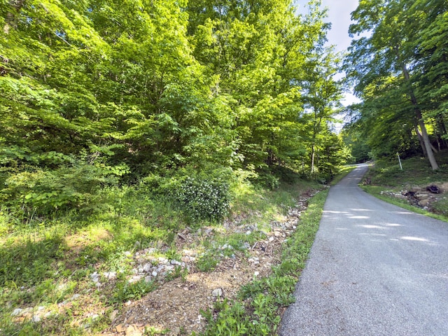 81 Township Road 158, Chesapeake, OH 45619 - photo 28