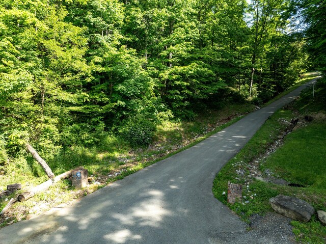 81 Township Road 158, Chesapeake, OH 45619 - photo 32