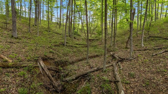 32046 Red Hill Rd, Langsville, OH 45741