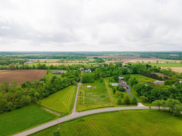 17292 Bear Swamp Rd, Marysville, OH 43040 - photo 75