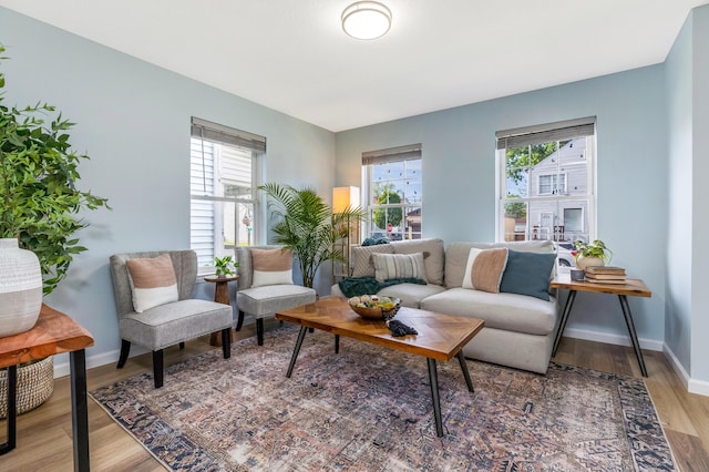 225 Reeb Ave, Columbus, OH 43207 - living area featuring healthy amount of natural light and light wood finished floors