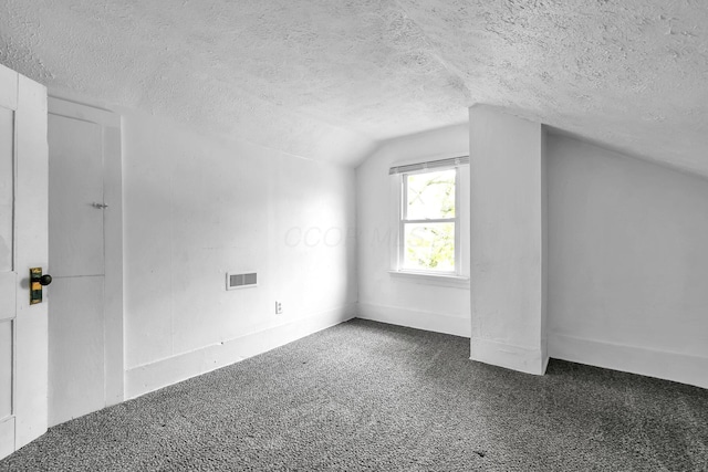 221 W Mulberry St, Baltimore, OH 43105 - bonus room featuring a textured ceiling, vaulted ceiling, and carpet