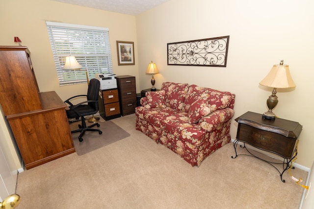 245 Hubbard Rd, Galloway, OH 43119 - carpeted office space with baseboards