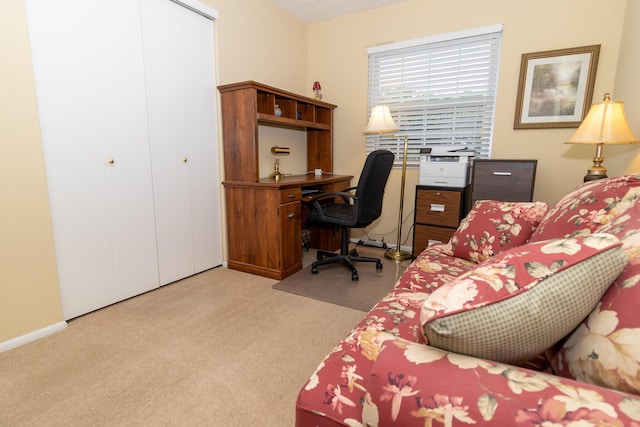 245 Hubbard Rd, Galloway, OH 43119 - home office with carpet