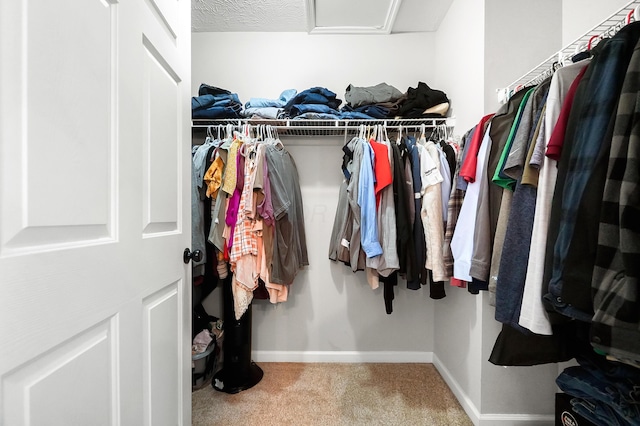7353 Selma Pike, South Charleston, OH 45368 - spacious closet featuring carpet and attic access
