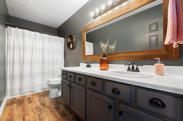 7353 Selma Pike, South Charleston, OH 45368 - bathroom featuring toilet, double vanity, wood finished floors, and a shower with shower curtain