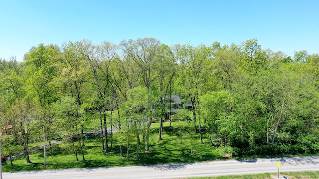 7353 Selma Pike, South Charleston, OH 45368 - view of tree filled area